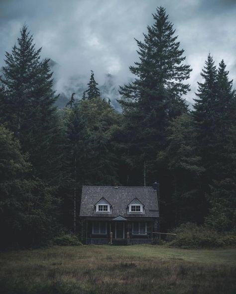 October Country, Dark Naturalism, Dark Forest Aesthetic, Little Cabin In The Woods, Nature Witch, Monster House, Dark Cottagecore, Misty Forest, House Hunters