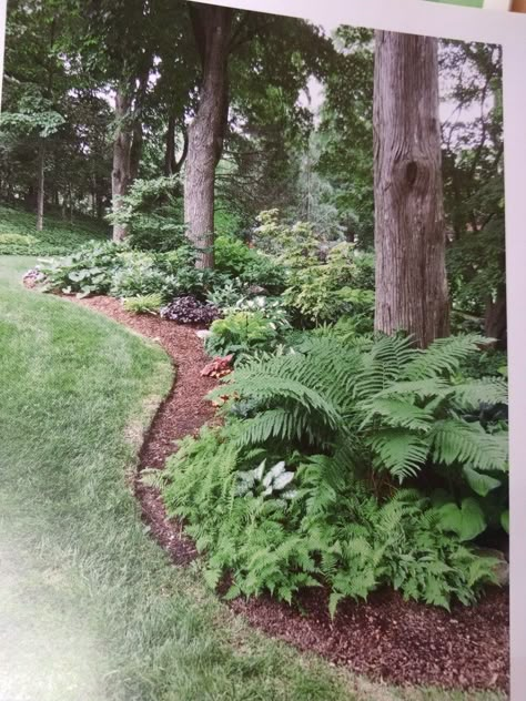 Log Home Landscaping Front Yards, Front Yard Forest Landscaping, Wooded Yard Landscaping, Natural Wooded Backyard Landscape, Edge Of Woods Landscaping, Front Of House Landscape Ideas Simple, Pnw Landscaping Ideas, Shade Landscaping Front Yard, Wooded Backyard Landscape