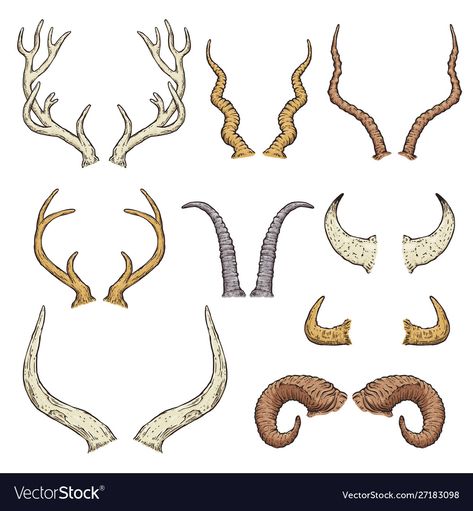 Faun Aesthetic, Horn Types, Deer Antlers Drawing, Dragon Human Hybrid, Nose Drawings, Horned Snake, Cracking Bones, Antler Drawing, Antlers Drawing