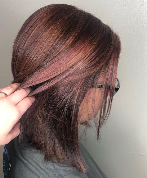 Colorful Brown Hair, Copper Rose Hair, Rose Gold Brunette Hair, Summer Hair Color For Dark Hair, Subtle Rose Gold Hair Brunette, Rose Gold Highlights Brunette, Rose Brown Balayage, Rose Colored Hair, Chocolate Rose Gold Hair