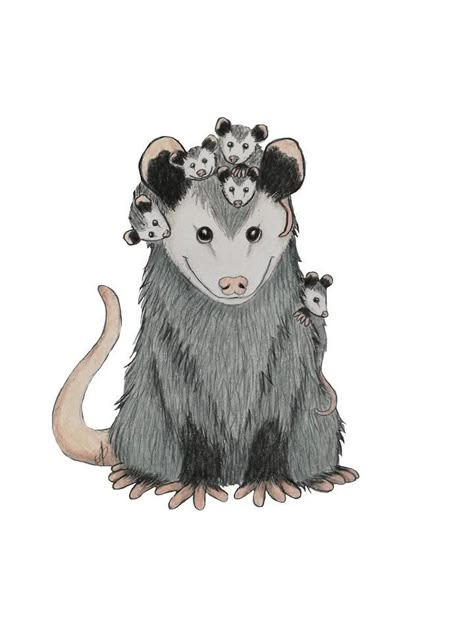 Opossum Cartoon Drawing, Cute Opposum Drawing, Possum Cartoon Drawing, Opossum Tattoo Cute, Opposum Drawings, Opossum Sketch, Cute Possum Drawings, Possum Sketch, Possum Cartoon