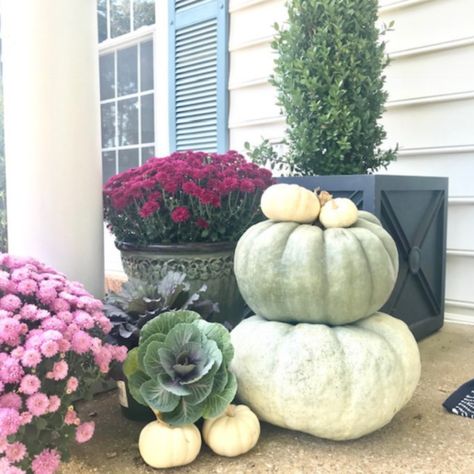 Interior Decorating Blog - Pasadena Interior Decorator Blog Fall Porch Decorating Ideas, Types Of Pumpkins, Homemade Halloween Decorations, Porch Decorating Ideas, Autumn Decorating, Fall Tablescapes, Fall Front Porch, Front Porch Decorating, Fall Decorations Porch