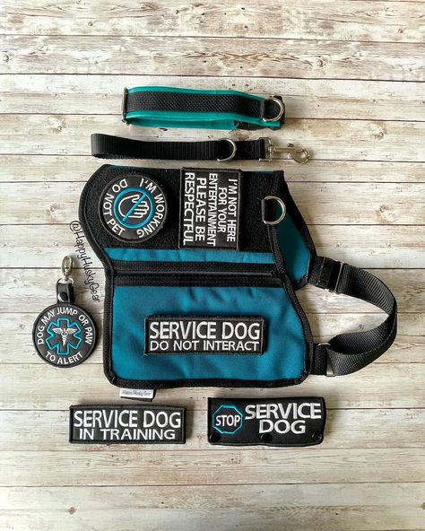 All Posts • Instagram Service Dog Vest Pattern, Service Dog Collar, Dog Vest Diy, Service Dog Vest Ideas, Service Dogs Vest Ideas, Service Dog Leash Wrap, Golden Retriever Service Dog, Cute Service Dog Vest, Disney Service Dog Vest