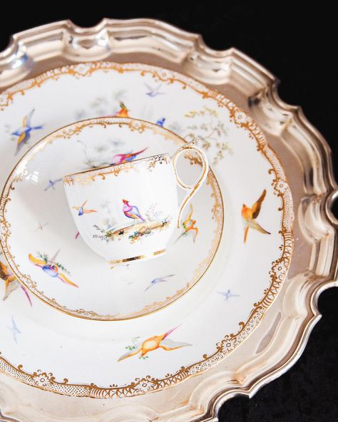 🔻SOLD🔻 Made in imitation of Sèvres porcelain, the intricate exotic birds in landscape by Coalport in 1850s (Cook, William) a part of London V&A museum collection. #tateantiques #coalport #shabbychicdecor #shabbychicstyle #homestyledecor #homestyle #sweethomeedit #tablesetting #history #porcelainhistory #musuempiece #exoticbird #sevresporcelain #englishchina #teaset #teasetting #tableware #livingwithantiques #xmaspresent #truetrio #desserttable #dessertplate #desserttime English China, Exotic Bird, Xmas Presents, Exotic Birds, Shabby Chic Style, Museum Collection, Shabby Chic Decor, Dessert Plate, Dessert Table