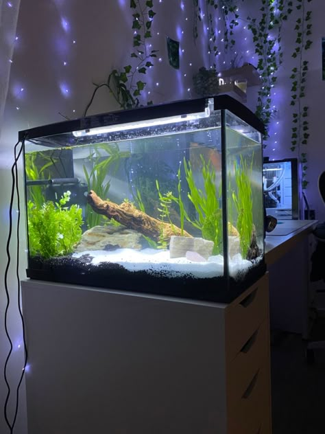 Aquarium Aesthetic Home, Bedroom With Fish Tank, Bedroom Aquarium, Aesthetic Fish Tank Ideas, Fish Tank Aesthetic, Indoor Rabbit Cage, Fish Tank Ideas, Snail Tank, Fish Tank Themes