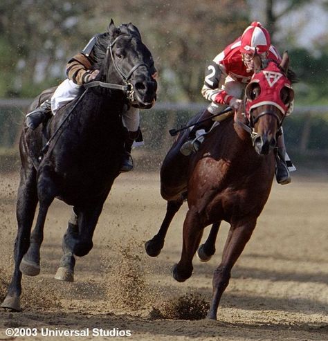 horse racing seabiscuit Sea Biscuit, Horse Movies, Famous Horses, American Pharoah, Derby Winners, Race Tracks, Belmont Stakes, Thoroughbred Horse Racing, Side Saddle