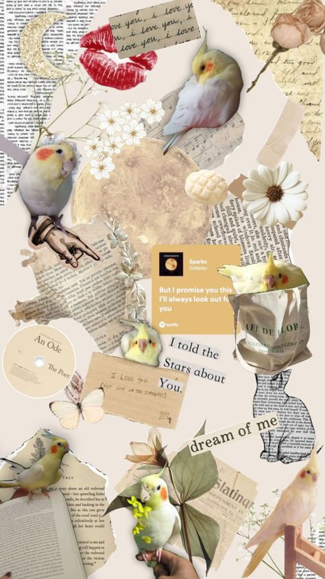 cockatiels💗💗 #cockatiel #birb #cockatielcute #uwu #fyp #famous #viral #moodboards #cute #bird #parrot Bird Parrot, Cute Bird, Mood Boards, Parrot