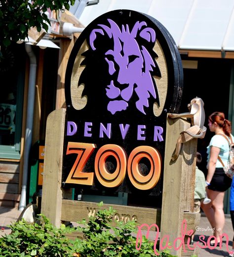 Denver Vacation, Denver Zoo, Denver Travel, Colorado Living, Colorado Adventures, Colorado Vacation, State Of Colorado, Colorado Homes, Colorado Travel