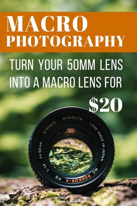 50 Mm Lens Photography, Macro Photography Setup, Macro Photography Settings, Macro Photography Equipment, Super Macro Photography, Extreme Macro Photography, Macro Photography Eyes, Drone Photography Ideas, Macro Photography Water