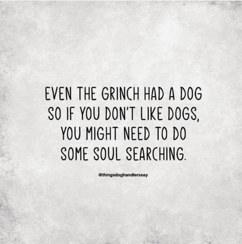 Dog Friday Quotes, Me And My Dog Quotes Funny, Dog Mom Quotes Humor, Christmas Dog Quotes, Funny Quotes About Dogs, Funny Pet Quotes, Funny Quotes Inspirational, Happy Dog Quotes, Quotes About Dogs