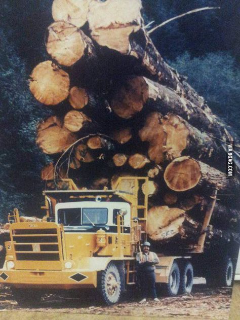 9GAG - The old days of logging in Canada. Yes, this picture is real. - I would be afraid to drive it Logging Industry, Logging Equipment, Western Star, Big Rig Trucks, Heavy Machinery, Old Days, Work Truck, Heavy Truck, Big Rig