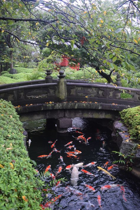 Buddhist Temple Aesthetic, Buddhist Aesthetic, Temple Buddhist, Japan Travel Photography, Zen Temple, Travel Mood, Water Temple, Japan Temple, Buddhist Temples