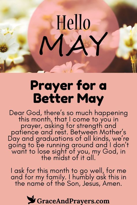 As flowers bloom and the world awakens anew, May is a time of rejuvenation and hope. This prayer seeks blessings of renewal, clarity, and joy for the month of May.

Asking for guidance on new paths, the strength to face any challenge with grace, and moments of happiness in the beauty of spring, this prayer is an invocation for a May filled with personal growth, love, and peace.

Step into May with optimism and an open heart. Explore the Prayer for a Better May at Grace and Prayers. Encouraging Prayers, Dwelling On The Past, Everyday Prayers, New Every Morning, Names Of Jesus Christ, Month Of May, Love And Peace, The Prayer, Verses Quotes