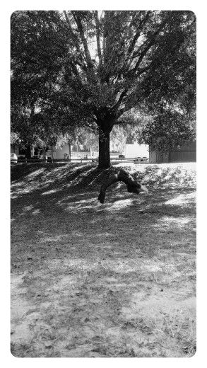 I was just at my dad's work and got bored so I had my sister take pictures of me doing backhand Springs Backhand Springs, Pictures Of Me, Gymnastics Photography, Take Pictures, My Sister, Gymnastics, My Pictures, Springs, Photography