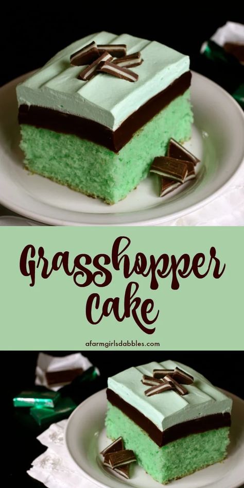 Grasshopper Cake, Grasshopper Recipe, Mint And Chocolate, Mint Desserts, Mint Chocolate Cake, Cooking Projects, Mint Cake, Mint Recipes, Chocolate Layer Cake