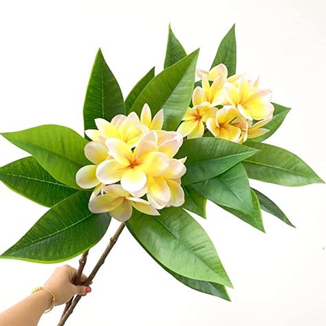 Amazon.com: XIYUAN 35.5 Inch Artificial Flowers Artificial Frangipani Flower 2 Stems Lifelike Real Touch Artificial Plumeria Flowers for Home Party Wedding Bouquet Home Decoration (Yellow) : Home & Kitchen Flores Plumeria, Frangipani Flower, Festive Party Decorations, Flowers For Home, Eggs Flowers, Plumeria Flowers, Eco Friendly Paint, Floral Branch, Coffee Shop Decor