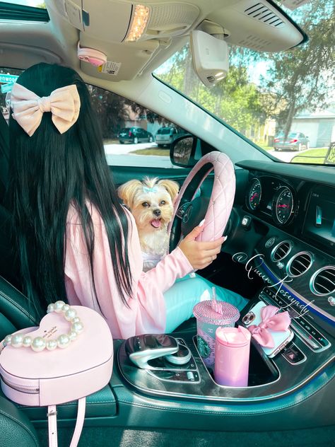 Spoiled Puppy Aesthetic, Pink Interior Car, Pink Dog Aesthetic, Girly Dog Aesthetic, Pink Puppy Stuff, Dog Pink Aesthetic, Puppy In Car Aesthetic, Pink Car Interior, Best Car Interior