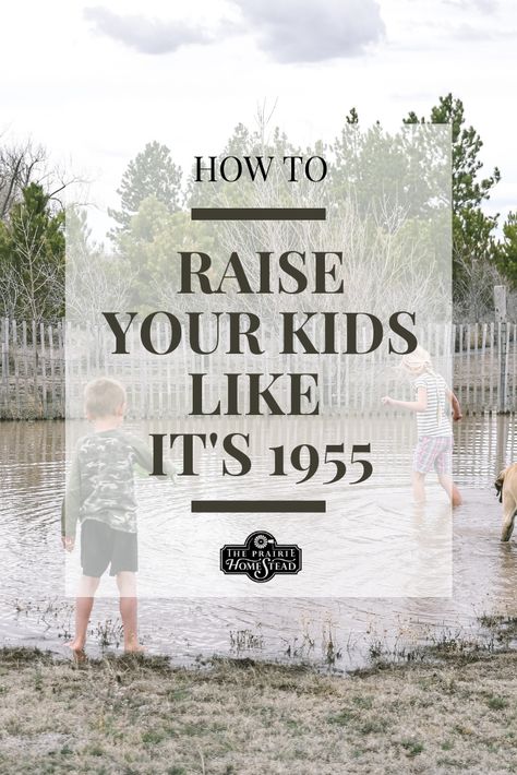 Raising Old-Fashioned Kids in a High Tech World • The Prairie Homestead Homesteading With Kids, Fun Ideas For Kids At Home, Old Fashioned Living, Fun Kids Activities, Fun For Toddlers, Prairie Homestead, Things To Learn, Simple Projects, Farm Kids