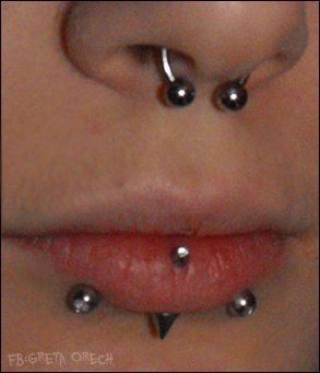 Septum , vertical labret and snake bites . Vertical Snakebites Piercing, Snake Bites Vertical Labret, Emo Snake Bites, Spike Vertical Labret, Snakebites And Vertical Labret, Vertical Labret With Snake Bites, Snake Bites And Labret, Vertical Labret Aesthetic, Snake Bites And Septum