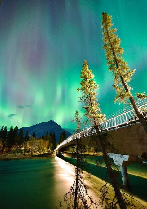 Alberta Aurora Chasers | Pedestrian bridge in Banff | Facebook Banff Alberta, Pedestrian Bridge, Aurora, Bridge