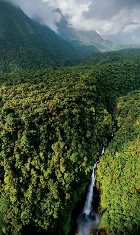 Guinea Africa, Breathtaking Scenery, Central Africa, National Geographic Magazine, Wildlife Photos, Liberia, Green Forest, Africa Travel, Luxor