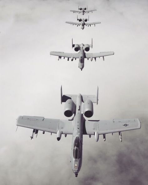 1,962 Likes, 9 Comments - Warplane Of Insta (@warplaneofinsta) on Instagram: “Ce genre de squad 😈 ! ——————————————— - ✈️ A-10 Thunderbolt - 📸 Inconnu ——————————————— ⚡️ ᴀɴᴅ…” Tomcat F14, A10 Warthog, A 10 Warthog, Battlefield 3, Usa Military, Military Hardware, Air Fighter, Military Jets, Military Aviation