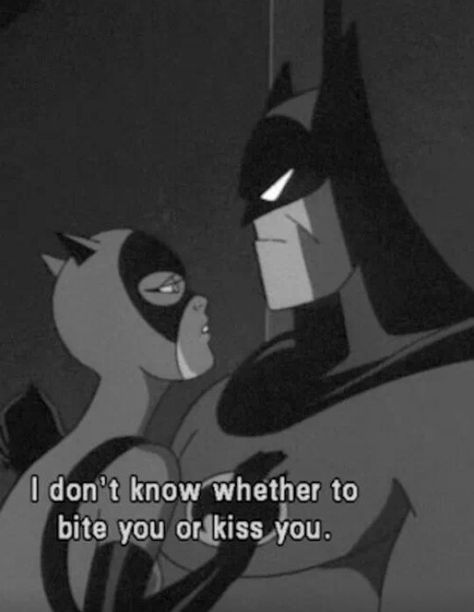 How about both...? Batman X Catwoman, Bat And Cat, The Bat And The Cat, Bat And The Cat, Catwoman Batman, Batman Love, Batman Catwoman, Bat Cat, Batman And Catwoman