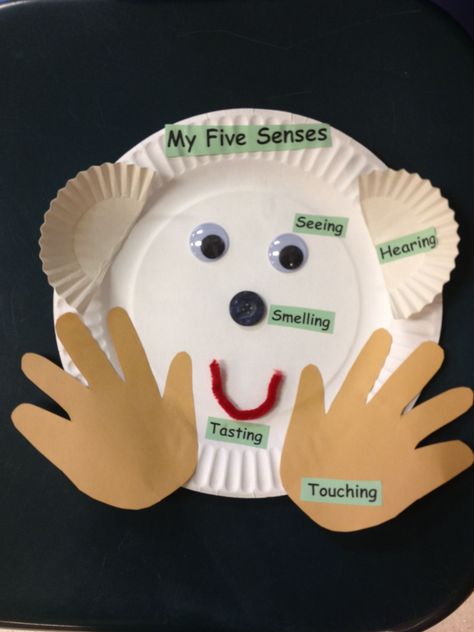 My Five Senses Art For Infants, Five Senses Activity For Kindergarten, 5 Senses Infant Crafts, Pre K 5 Senses Craft, Sensational Senses Preschool, 5 Senses Infant Art, 5 Senses Arts And Crafts Preschool, Five Senses Crafts For Preschool Ideas, Five Senses Crafts For Infants