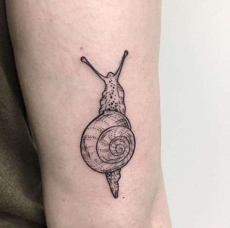 Cute Snail Tattoo. Snail Tattoo With Mushrooms, Traditional Snail Tattoo, Snail Tattoo Design, Snail Tattoos, Snail Tattoo, Dragon Tattoo Ideas, Shell Tattoos, Cute Snail, Funky Tattoos