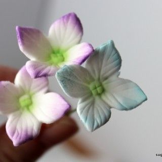 Gum Paste Hydrangea, Cake Flowers Tutorial, Gum Paste Flowers Tutorials, Sugar Paste Flowers, Sugar Flowers Tutorial, Fondant Flower Tutorial, Fondant Flower Cake, Fondant Figures Tutorial, Wafer Paper Flowers