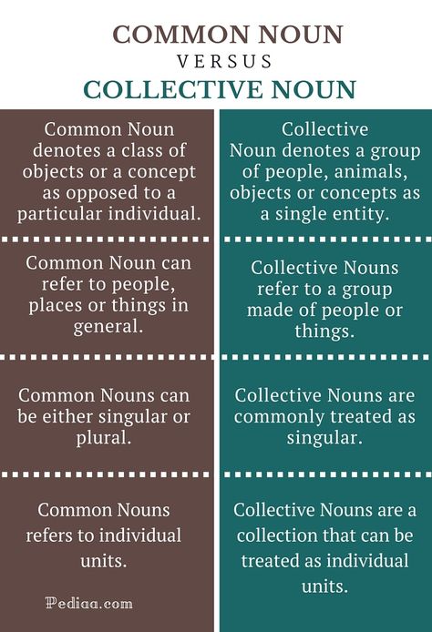 Difference Between Common Noun and Collective Noun English Literature Notes, Courtly Love, Basic Anatomy, Medieval Literature, Medicine Studies, Basic Anatomy And Physiology, Common Nouns, Canterbury Tales, Collective Nouns