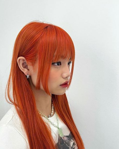 Mia Fa • 吉红发 on Instagram: "Hime cut because I’m a princess😘" Ginger Hair Dyed, Hime Cut, Red Hair Inspo, Amazon Clothing, Hair Streaks, Color Party, Pretty Hair Color, Haircuts Straight Hair, Long Hair With Bangs