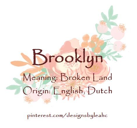 Baby Girl Name: Brooklyn. | Meaning: Broken Land. | Origin: English, Dutch. || www.pinterest.com/designsbyleahc Wren Name, Eden Meaning, Swedish Names, Meaningful Baby Names, Female Character Names, Baby Girl Name, Names Girl, Name Origins