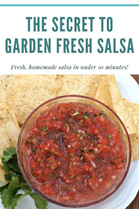 Salsa Recipe With Poblano Peppers, Homemade Fresh Salsa With Fresh Tomatoes, Homemade Garden Salsa Recipes, Salsa Recipe With Fresh Tomatoes No Cilantro, Salsa With Poblano Peppers, Pioneer Woman Salsa Recipe, Fresh Homemade Salsa, Freezer Salsa Recipe With Fresh Tomatoes, Garden Tomato Salsa