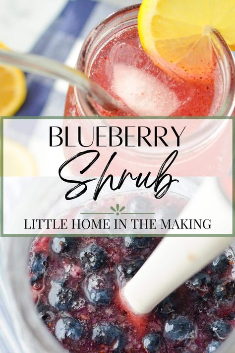 Blueberry Recipes Drinks, Drinking Vinegar Recipe, Blueberry Shrub Recipe, Shrub Drink Recipes, Lemon Shrub Recipe, Preserve Blueberries, Homemade Soda Syrup, Fruit Shrubs, Blueberry Shrub