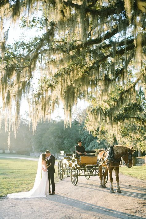 Middleton Place Charleston, Middleton Place Wedding, Thomasville Georgia, Tallahassee Wedding, Middleton Place, Place Wedding, Charleston Sc Wedding, Shot List, Manor Wedding