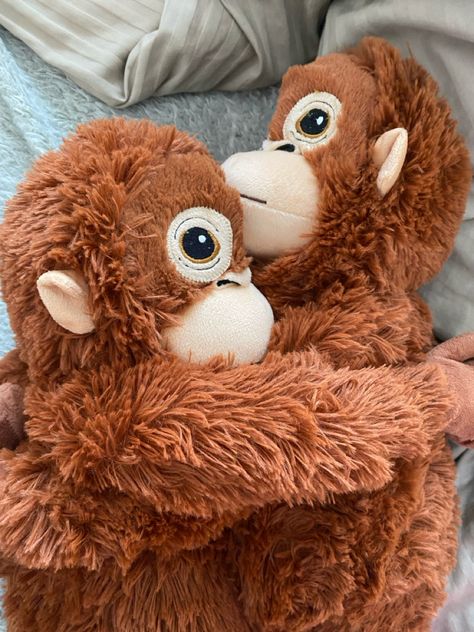 Stuffed Monkey, Ikea Monkey, Monkeys Aesthetic Animal, Monkey Plushies, Monkey Brains, Monkey Plush Aesthetic, Ikea Toys, Bow Drawing, Toy Monkey