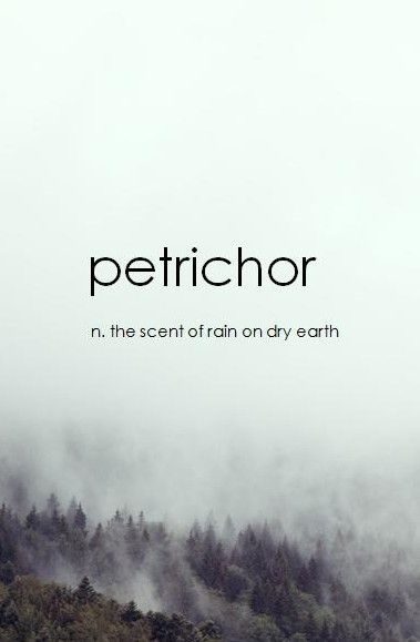 The name for that smell after it rains Uncommon Words, Awesome Tattoos, Unusual Words, Rare Words, Unique Words, Fun Art, Word Of The Day, Wonderful Words, Song Quotes