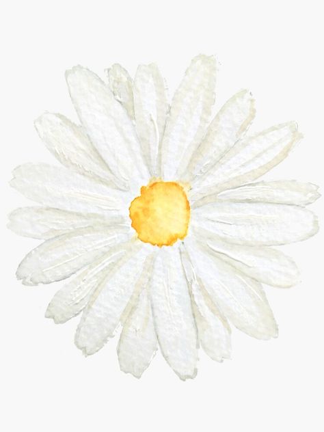 Daisy Flower Watercolor, White Daisy Drawing, Tablet Notes, Watercolour Daisy, Easy Chalk Drawings, Daisy Flower Drawing, Birthday Artwork, Daisy Watercolor, Watercolor Daisy