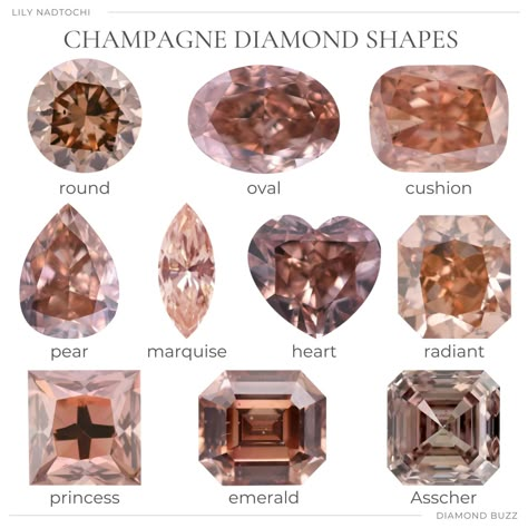 Stones Texture, Angie Crabtree, Camellia Red, Expensive Diamond Rings, Diamond Chart, Pink Flower Ring, Brown Crystals, Colored Diamond Jewelry, Jewelry Knowledge