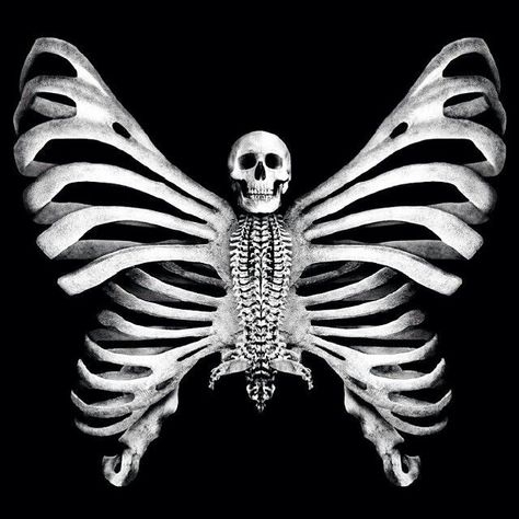 Creepy Butterfly Art, Skeleton Butterfly Aesthetic, Skeletal Butterfly, Creepy Butterfly, Skull Butterfly Tattoo Design, Butterfly With Skull, Butterfly Bones, Bone Wings, Bone Butterfly