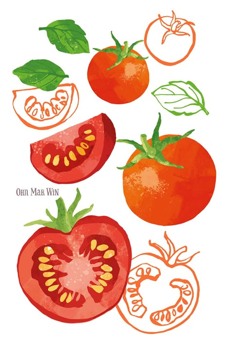 Food — Ohn Mar Win Illustration Food Digital Painting, Tomato Soup Illustration, Tomato Illustration Cute, Vintage Vegetable Illustration, Cherry Tomato Illustration, Flat Poster Design, Tomato Color Palette, Tomato Illustration Graphics, Food Illustration Art Graphics