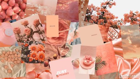 peach aesthetic collage background Peach Background Aesthetic Landscape, Peach Aesthetic Wallpaper Laptop, Aesthetic Collage Background, Cute Backgrounds Aesthetic, Peach Wallpaper, Disco Glam, Peach Aesthetic, Backgrounds Aesthetic, Collage Background