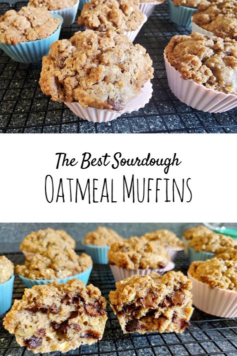 Need some ideas for using your beloved sourdough starter? Try making these sourdough oatmeal muffins! Sourdough Oat Muffins, Sourdough Oatmeal Waffles, Active Sourdough Muffins, Sourdough Coffee Cake Muffins, Sourdough Discard Oatmeal Muffins, Sourdough Starter Muffins, Sourdough Breakfast Muffins, Sourdough Oatmeal Muffins, Sourdough Muffins Healthy