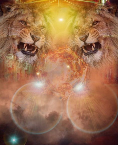 Lion Background Images Hd, Lion Photo Editing Background, Lion Banner Background, Lion Background Wallpapers, Cdp Background, Lion Banner, Uday Kiran, Lion Background, Paint Splash Background