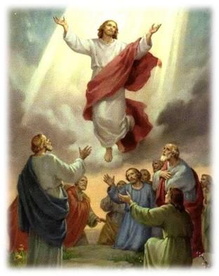 Beautiful Easter Decorations to Enjoy Throughout the Spring Season Ascension Of Jesus, Jesus Meme, Catholic Humor, The Meta Picture, Image Of Jesus, Jesus Memes, Jesus Funny, A Course In Miracles, Christian Humor