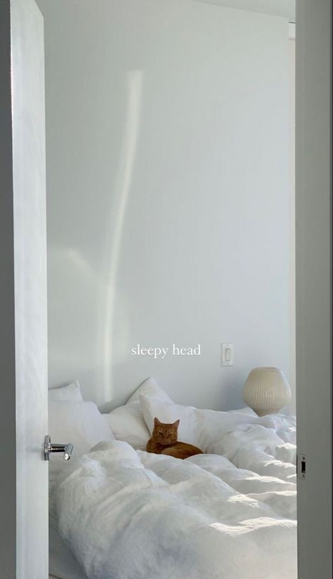 Hallway Room, Cat Captions, Simple Thanksgiving Table, Fireplace Tv Wall Decor, Chill Mood, Room 2023, Sleepy Girl, Fireplace Tv Wall, Sleepy Dogs