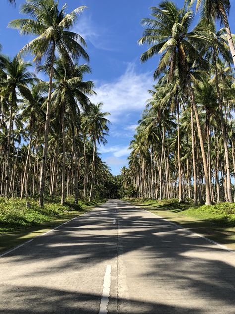 Siargao Island Aesthetic, Siargao Aesthetic, Philippines Aesthetic, Vacation Board, Vacation Locations, Siargao, Philippines Travel, Gopro Hero, Island Life