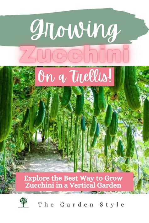 This pin shows a zucchini garden growing on trellises. The pin title is "Growing Zucchini on a Trellis (Gardening Guide)". The subtitle is "Explore the best way to grow zucchini in a vertical garden". Visit TheGardenStyle.com to learn more. Zucchini Trellis Ideas, Planting Zucchini, Zucchini Trellis, Growing Zucchini Vertically, Garden In Raised Beds, Trellis Gardening, Growing Vegetables From Seeds, Grow Zucchini, Vertical Trellis