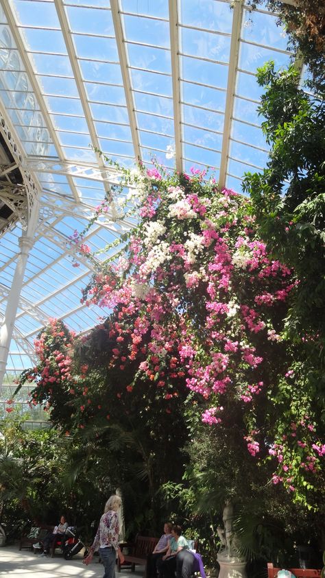 sefton park palm house Sefton Park Palm House, Sefton Park, Palm House, Park Weddings, Liverpool, Dream Wedding, Weddings, Lifestyle, Flowers